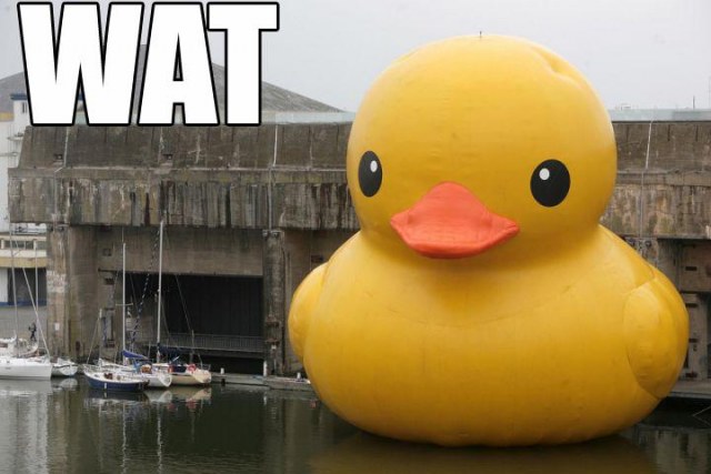 Giant rubber ducky, captioned WAT